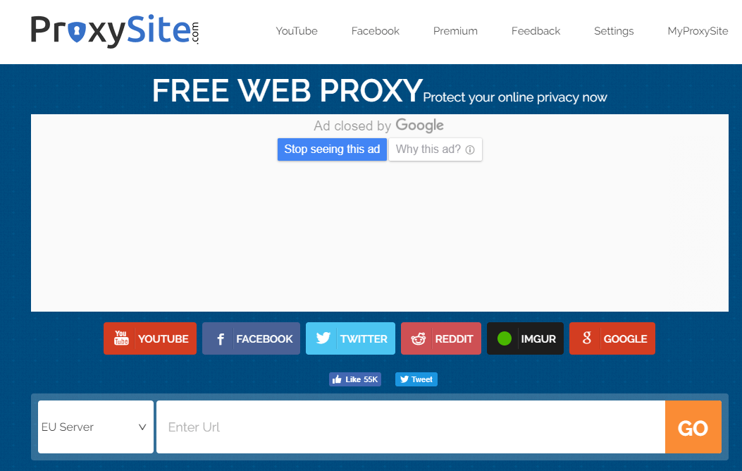 Enter the proxy URL in your browser.