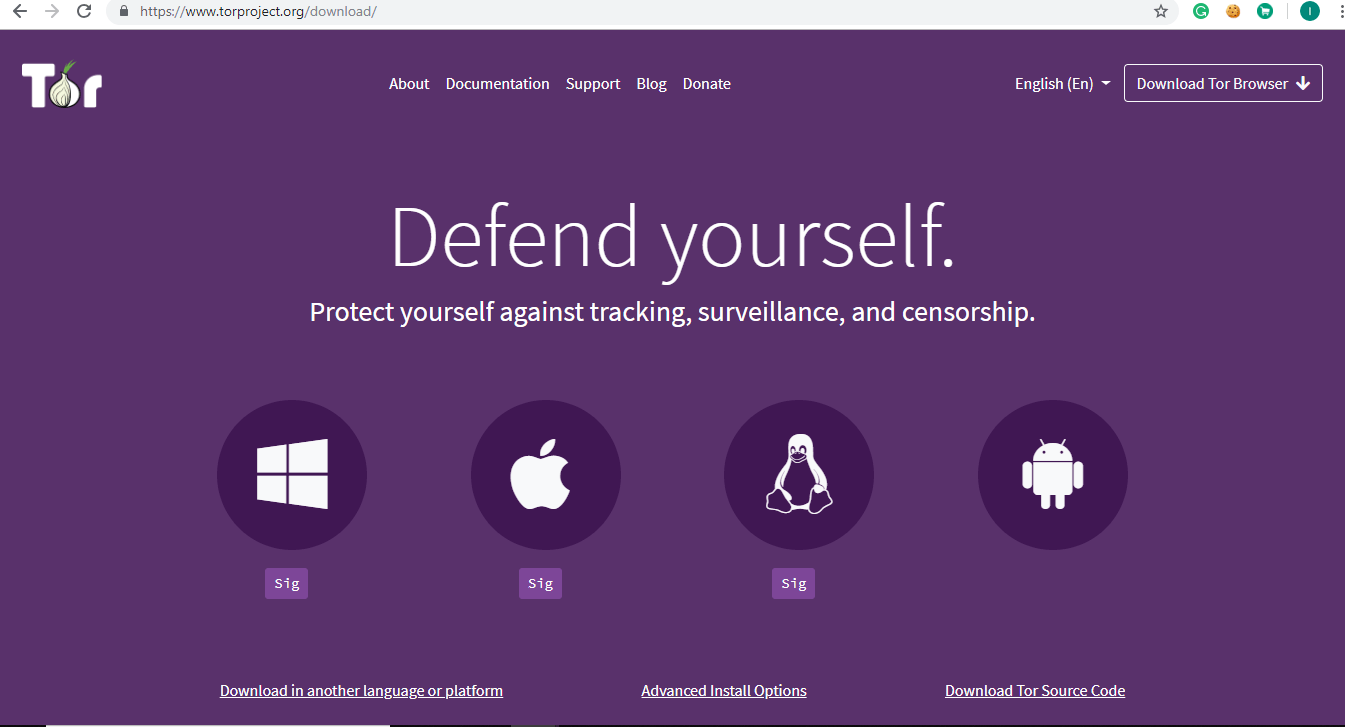 Visit website and click on Download Tor Browser on the top right corner
