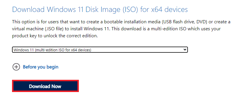 Download Windows 11 Disk Image (ISO).