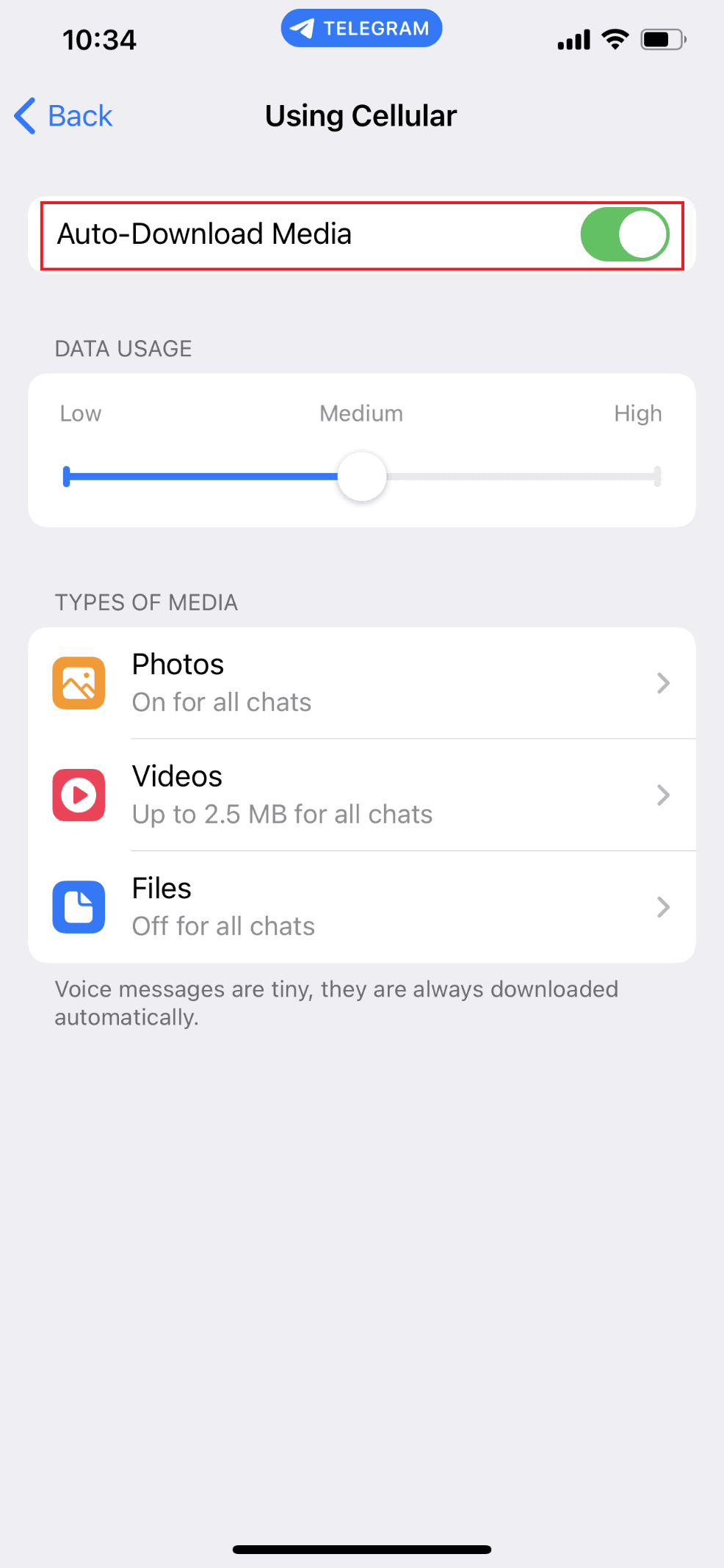 Tap one of the options and turn off Auto-Download Media toggle