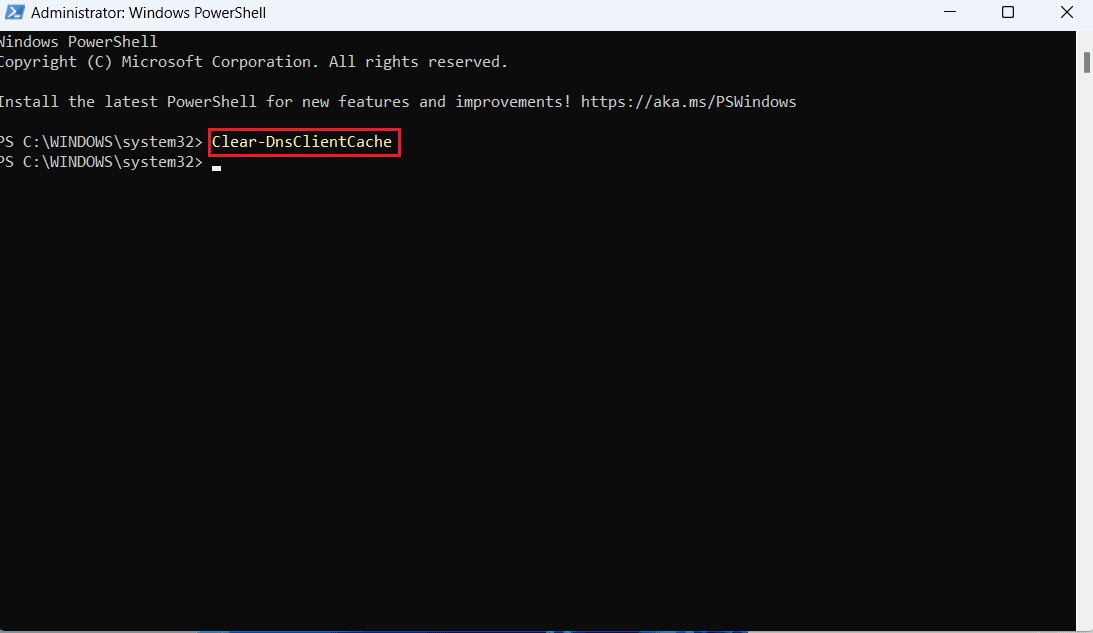 Type Clear-DnsClientCache in the PowerShell window and press Enter | How to Flush DNS Cache in Windows 11